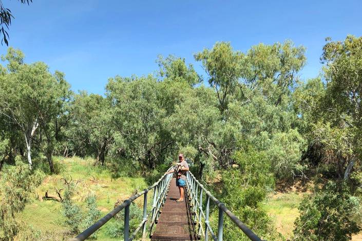 Person with dog standing on a footbridge surrounded by bushland